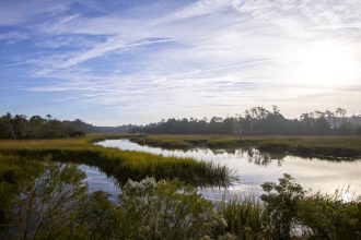 A new plan to preserve Georgia’s marshes: Give them space to migrate
