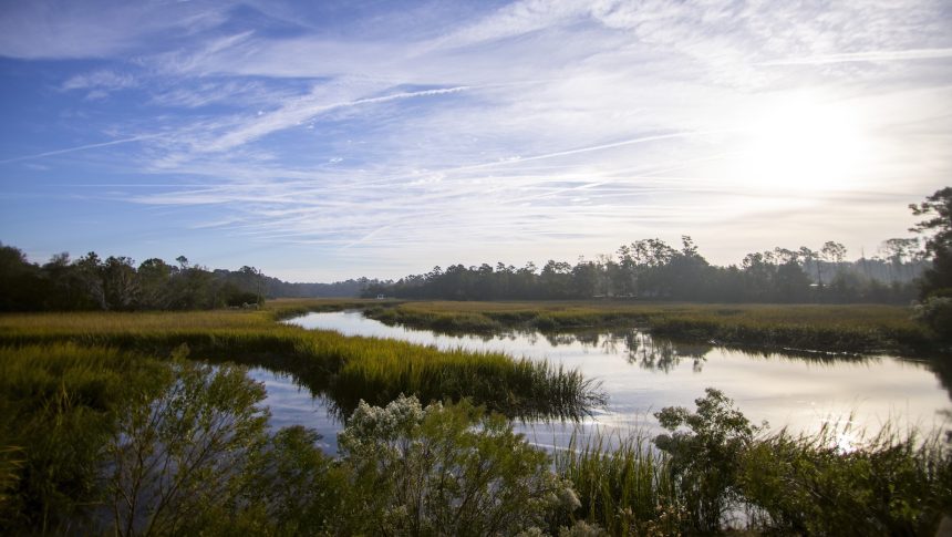 A new plan to preserve Georgia’s marshes: Give them space to migrate