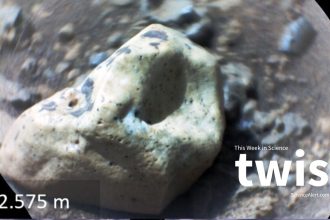 AI Agents Come to an Agreement, Gemstones on Mars, And More! : ScienceAlert