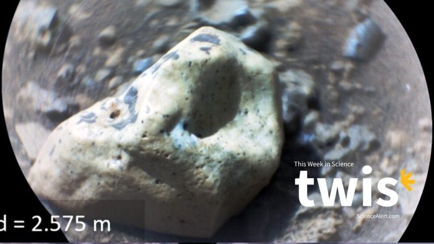 AI Agents Come to an Agreement, Gemstones on Mars, And More! : ScienceAlert