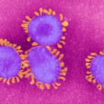 AI Can Now Make Deepfake Biological Viruses. We Are Not Prepared
