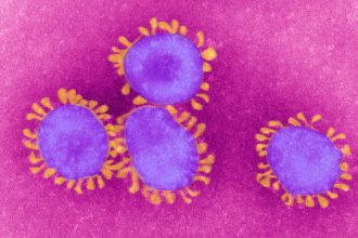 AI Can Now Make Deepfake Biological Viruses. We Are Not Prepared