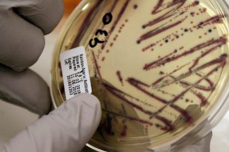Alfalfa Sprout Outbreak Linked To Food-Poisoning In 15 States