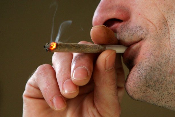Cannabis Use Disorder Is Rising— Public Health Needs To Catch Up