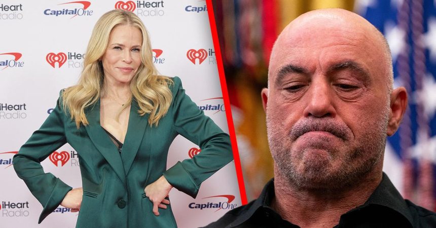 Chelsea Handler Destroys Joe Rogan Over Million Salary