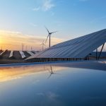 China’s solar power rollout is harming birds, a new analysis finds