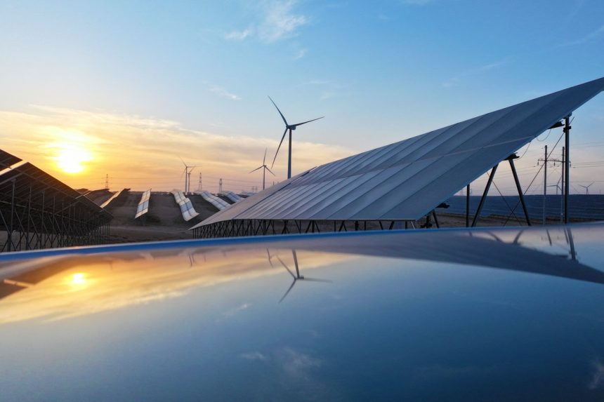 China’s solar power rollout is harming birds, a new analysis finds