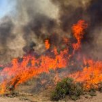 Crews battle wildfires in western U.S. and Canada : NPR