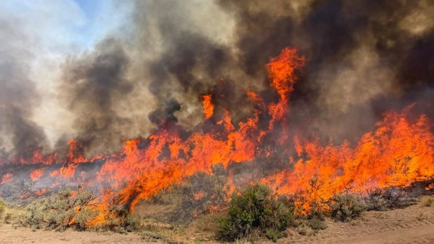 Crews battle wildfires in western U.S. and Canada : NPR