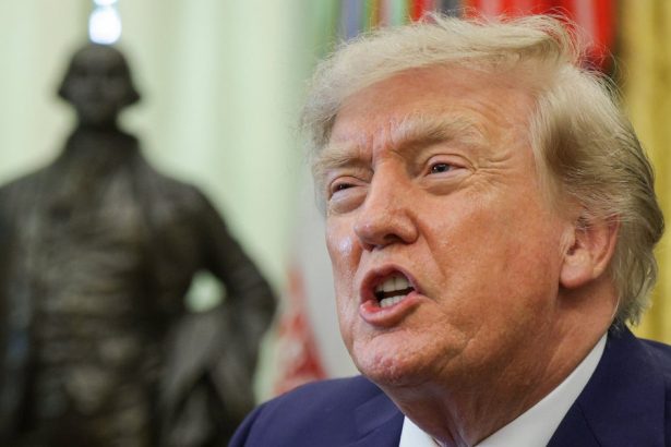 Critics Torch Trump Over Bizarre New Timeline For Leaving Office