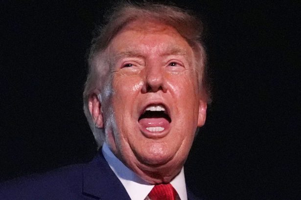 Critics Trash Trump’s New Air Force One Claim As ‘Utter Nonsense’