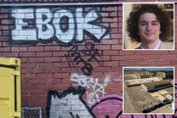 Cryptic clue could see alleged California killer teen tried as adult for first time