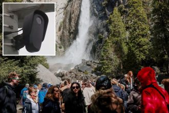 Flock cameras installed in California’s Yosemite National Park