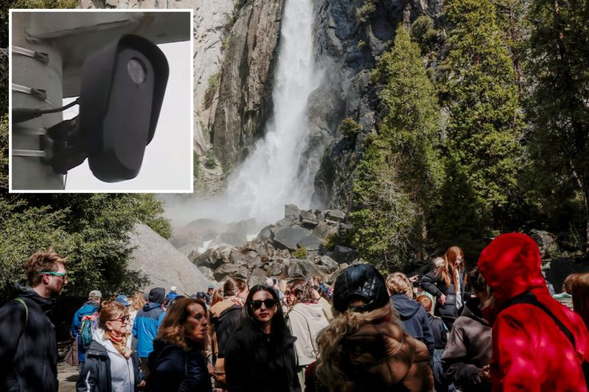Flock cameras installed in California’s Yosemite National Park