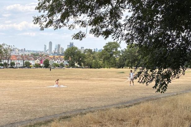 Heat ‘not fit for humans’ hits Britain