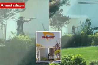 Hero armed citizen opened fire on Idaho In-N-Out gunman during deadly shooting