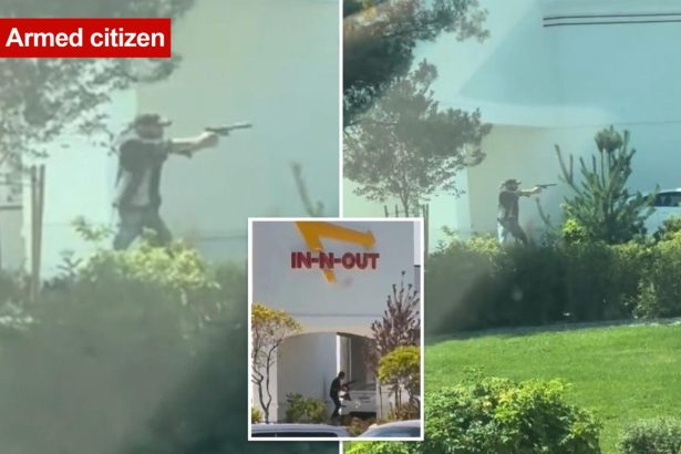 Hero armed citizen opened fire on Idaho In-N-Out gunman during deadly shooting