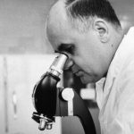 How we know that splitting up the MMR vaccine could be dangerous
