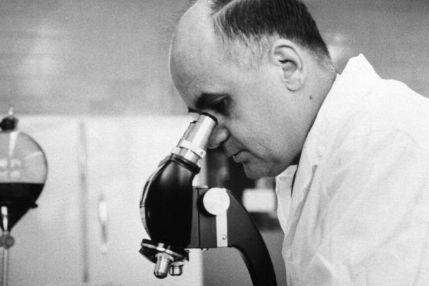 How we know that splitting up the MMR vaccine could be dangerous