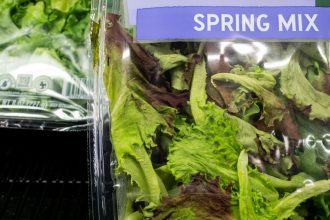 Is lettuce safe to eat yet? New data suggest cyclosporiasis cases are slowing