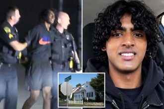 Massachusetts teen allegedly killed family after asking AI to create ‘fantasies’ about murdering family