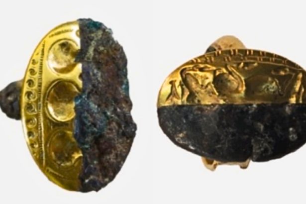 Metal From Beyond Our World Found in Rings Worn by Ancient Mediterranean Elites : ScienceAlert