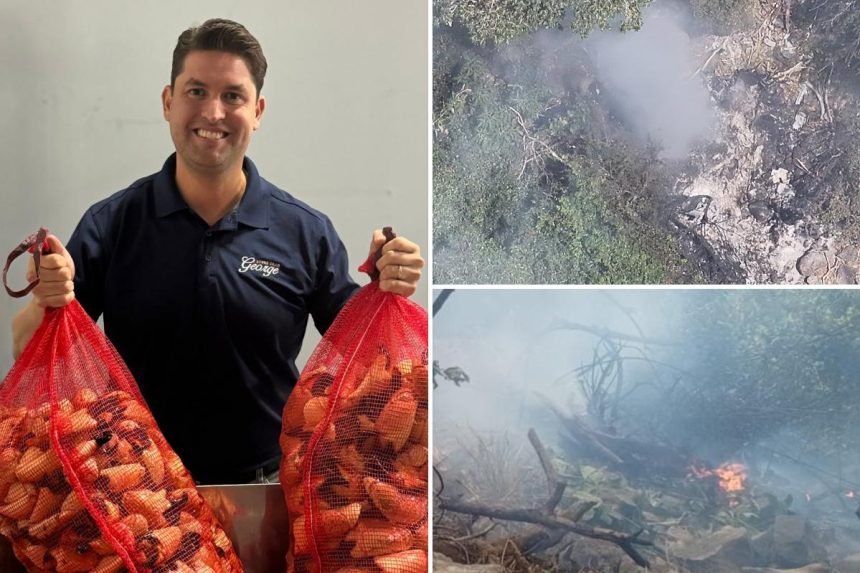 Millionaire food entrepreneur once on Forbes 30 under 30 list was among 5 Americans killed in Kenyan helicopter crash