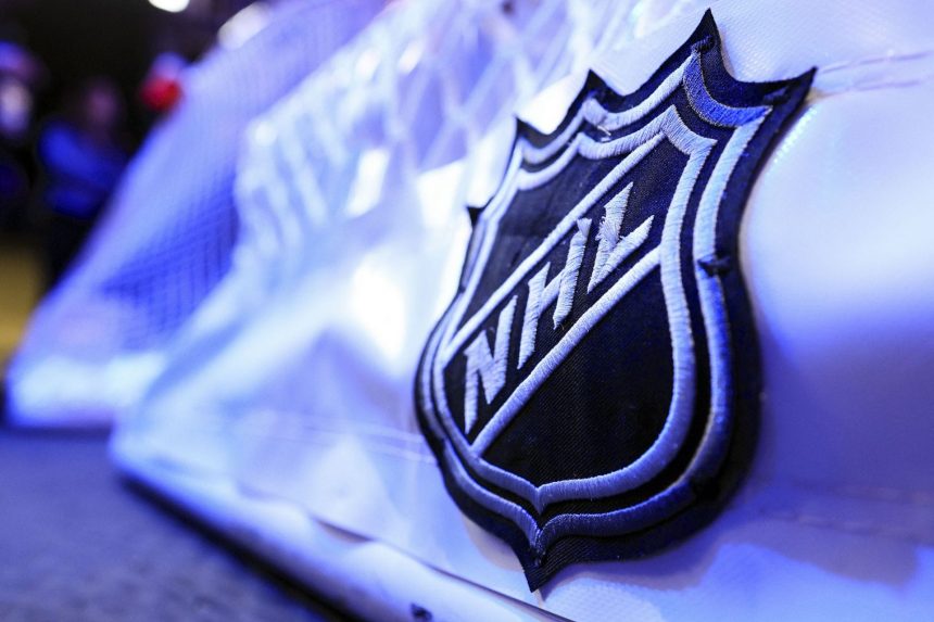 NHL fans react as Hockey Night in Canada Punjabi Edition  gets cancelled after 18 years