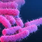 New vaccine could defeat a major cause of diarrheal disease : NPR