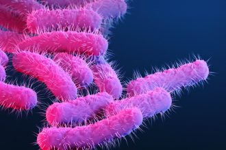 New vaccine could defeat a major cause of diarrheal disease : NPR