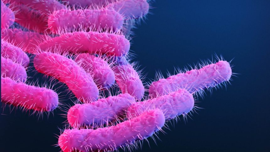 New vaccine could defeat a major cause of diarrheal disease : NPR
