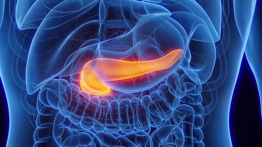 One Type of Diabetes Responds Better to a Weekly GLP-1 Drug Than to Insulin : ScienceAlert