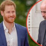 Prince Harry ‘Has Brother William Worried Over King Charles Reunion Bid’