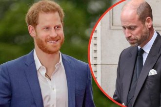 Prince Harry ‘Has Brother William Worried Over King Charles Reunion Bid’