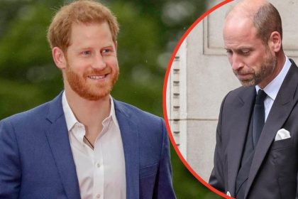 Prince Harry ‘Has Brother William Worried Over King Charles Reunion Bid’