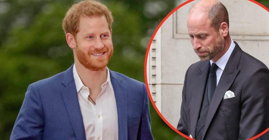 Prince Harry ‘Has Brother William Worried Over King Charles Reunion Bid’