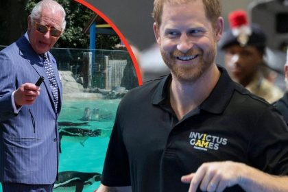 Prince Harry ‘Using Invictus Games to Step Up Charles Reunion Bid’