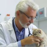 Rationale Behind Baron Focused Growth Fund’s IDEXX Laboratories (IDXX) Holding