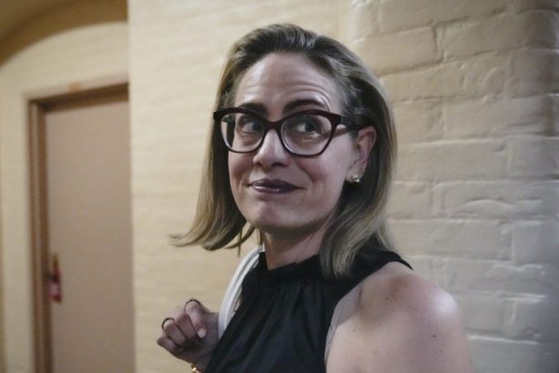 Sen. Kyrsten Sinema Reveals Details About Affair With Bodyguard