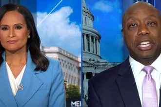 Sen. Tim Scott Falls Apart While Trying To Blame Biden For Trump’s Inflation