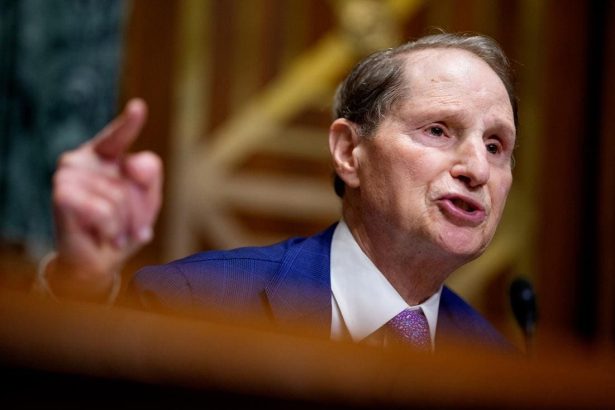 Senate Dems Post Memo On Reforms To Make Health Insurance More Affordable