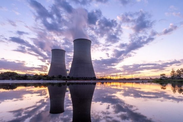 Swarming Jellyfish Just Shut Down a Nuclear Reactor For The Second Time : ScienceAlert