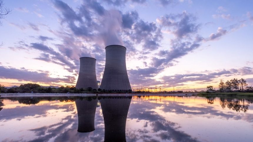 Swarming Jellyfish Just Shut Down a Nuclear Reactor For The Second Time : ScienceAlert