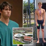 Swimmer accused in Hawaii beating death stopped attending college last year