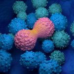 Targeting Cancer’s Weak Spot