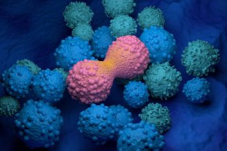 Targeting Cancer’s Weak Spot