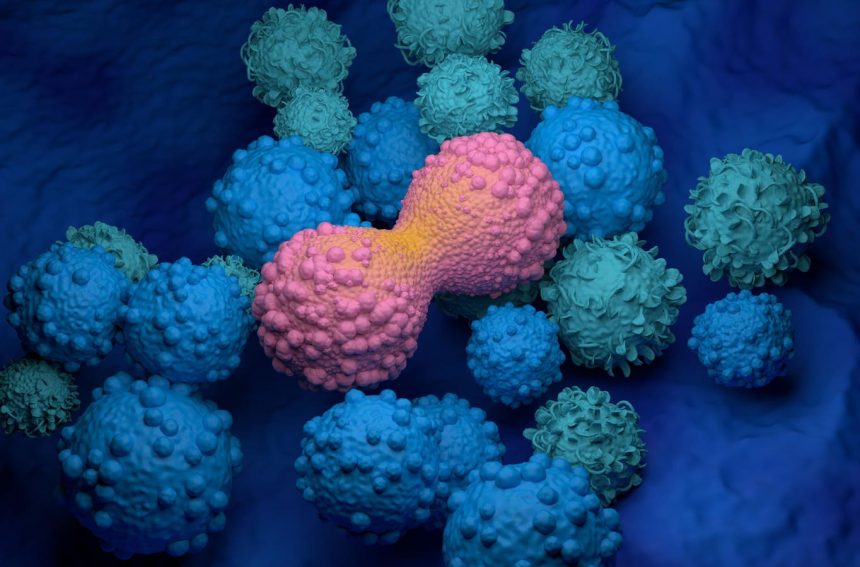 Targeting Cancer’s Weak Spot