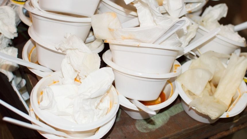 The Clearest Evidence Yet That a Common Plastic Increases Risk of Fatty Liver Disease : ScienceAlert
