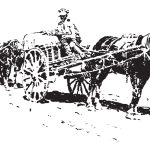 The Hidden Cause of the Industrial Revolution (with Ben Southwood)
