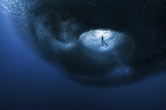 The Ocean Photographer of the Year Finalists Highlight the Sorrowful and Sublime — Colossal